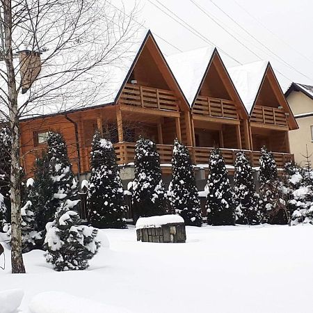 Vila Gorska Pasja Visla Exteriér fotografie